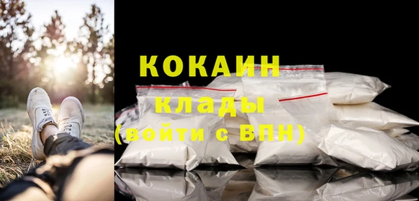 ПСИЛОЦИБИНОВЫЕ ГРИБЫ Иннополис