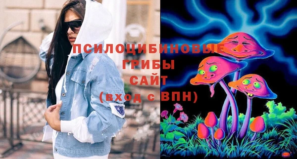 ПСИЛОЦИБИНОВЫЕ ГРИБЫ Иннополис
