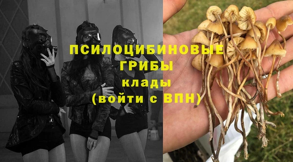 молекула духа Инта