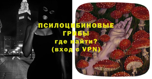 ПСИЛОЦИБИНОВЫЕ ГРИБЫ Иннополис