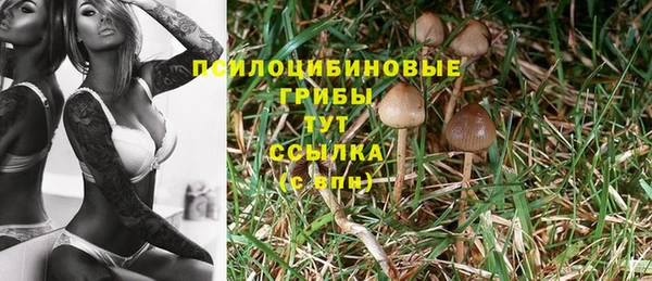 mix Инсар