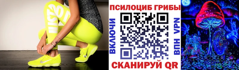 Галлюциногенные грибы прущие грибы  Купить  Сим 